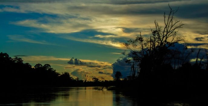 Biodiversité, fleuve Amazone