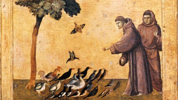 L'église et l'histoire de la nature